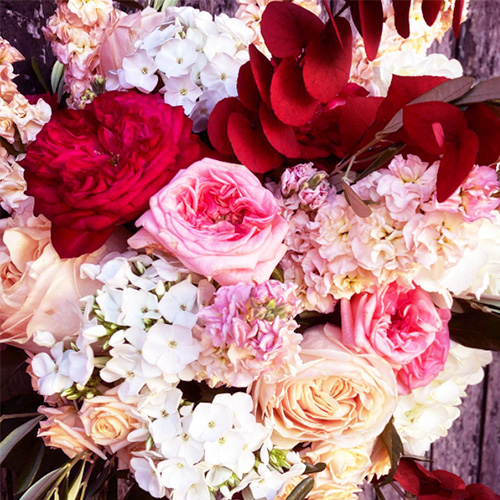 La rose idéale : comment choisir son bouquet à offrir ?